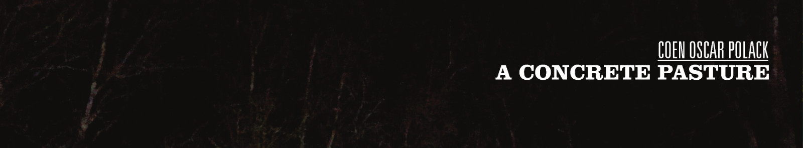 mfr107 website banner